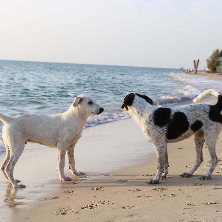 טאבה Yasmina Beach מראה חיצוני תמונה
